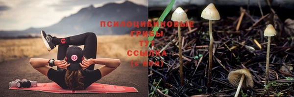 герыч Володарск