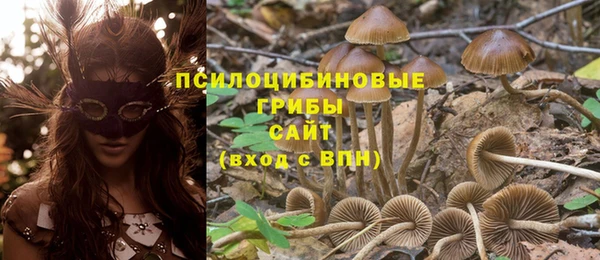 герыч Володарск