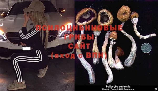 герыч Володарск