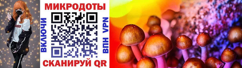 дарк нет какой сайт  цена наркотик  Черкесск  Псилоцибиновые грибы Magic Shrooms 